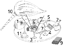 Arati Tray